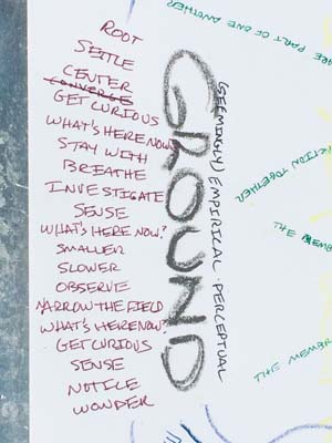 Online Feldenkrais Classes with Sheri Cohen; grounded dreamers in action